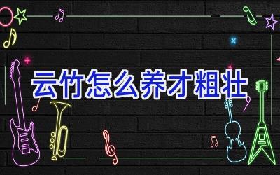 云竹怎么养才粗壮插图 云竹怎么养才粗壮插图