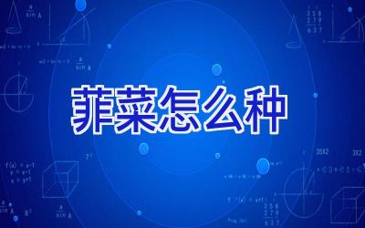 菲菜怎么种插图