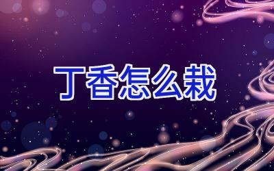 丁香怎么栽插图