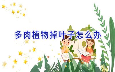 多肉植物掉叶子怎么办插图 多肉植物掉叶子怎么办插图