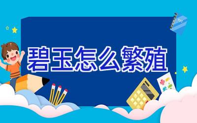 碧玉怎么繁殖插图