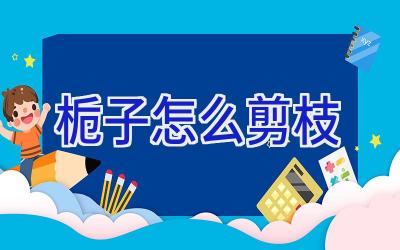 栀子怎么剪枝插图