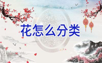 花怎么分类插图 花怎么分类插图