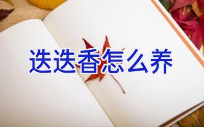 迭迭香怎么养插图 迭迭香怎么养插图