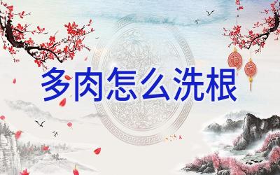 多肉怎么洗根插图