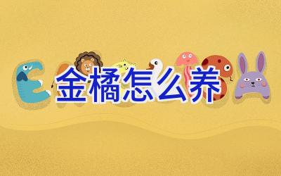 金橘怎么养插图 金橘怎么养插图