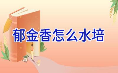 郁金香怎么水培插图