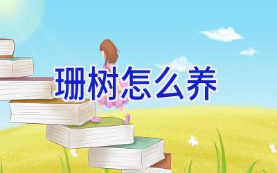 珊树怎么养插图 珊树怎么养插图