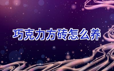 巧克力方砖怎么养插图 巧克力方砖怎么养插图