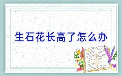 生石花长高了怎么办插图