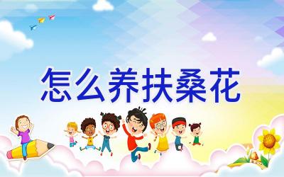 怎么养扶桑花插图 怎么养扶桑花插图