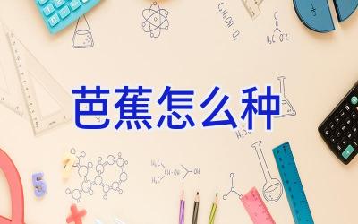 芭蕉怎么种插图