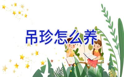 吊珍怎么养插图 吊珍怎么养插图