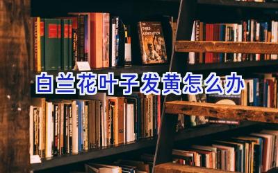 白兰花叶子发黄怎么办插图