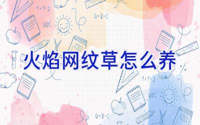 火焰网纹草怎么养插图 火焰网纹草怎么养插图