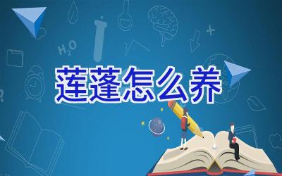 莲蓬怎么养插图