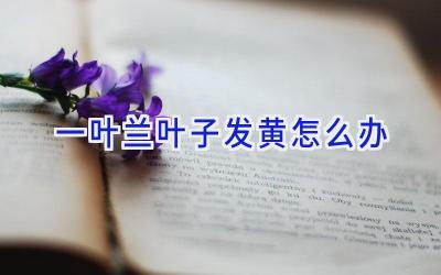 一叶兰叶子发黄怎么办插图