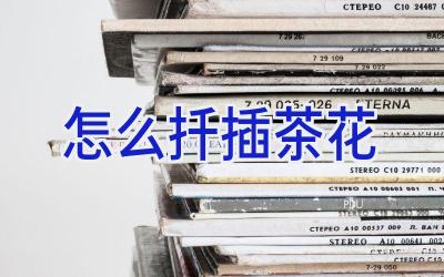 怎么扦插茶花插图 怎么扦插茶花插图