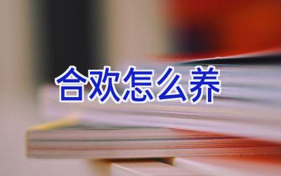 合欢怎么养插图 合欢怎么养插图