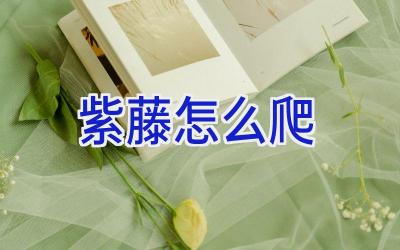 紫藤怎么爬插图 紫藤怎么爬插图