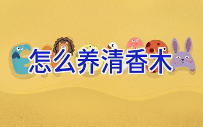 怎么养清香木插图 怎么养清香木插图