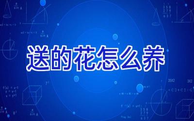 送的花怎么养插图 送的花怎么养插图