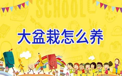 大盆栽怎么养插图