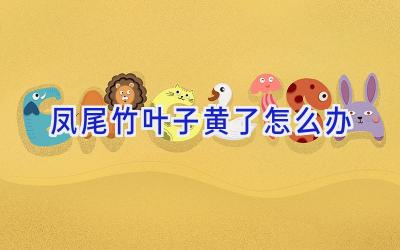 凤尾竹叶子黄了怎么办插图