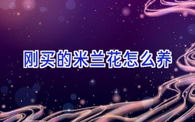 刚买的米兰花怎么养插图