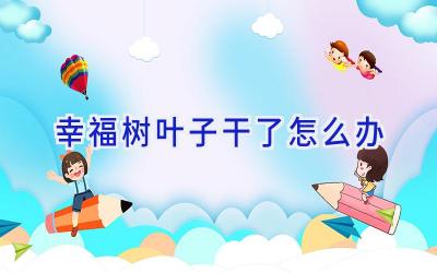 幸福树叶子干了怎么办插图