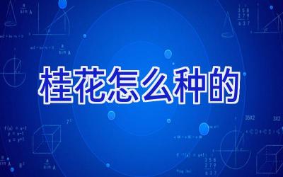 桂花怎么种的插图