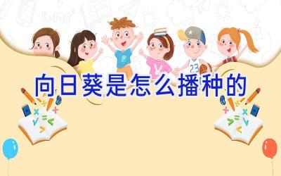 向日葵是怎么播种的插图