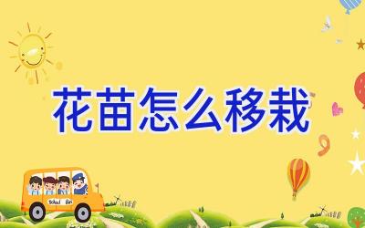 花苗怎么移栽插图