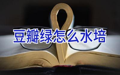 豆瓣绿怎么水培插图