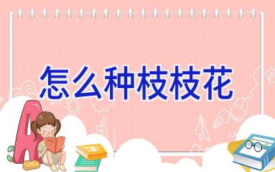 怎么种枝枝花插图