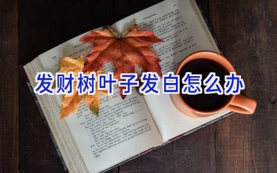 发财树叶子发白怎么办插图