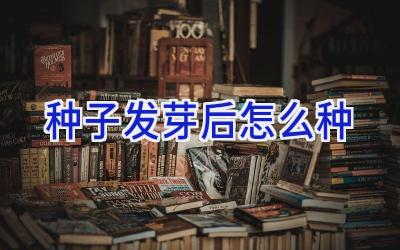 种子发芽后怎么种插图