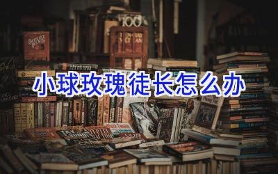小球玫瑰徒长怎么办插图