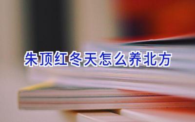 朱顶红冬天怎么养北方插图