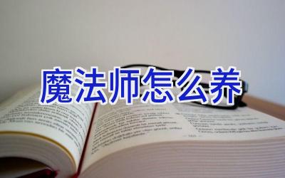 魔法师怎么养插图