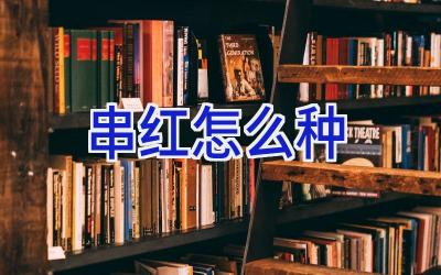 串红怎么种插图