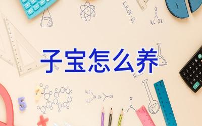 子宝怎么养插图