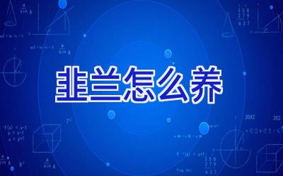 韭兰怎么养插图