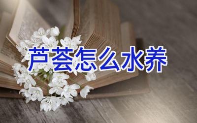 芦荟怎么水养插图