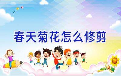 春天菊花怎么修剪插图