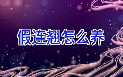 假连翘怎么养插图