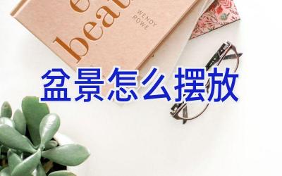 盆景怎么摆放插图