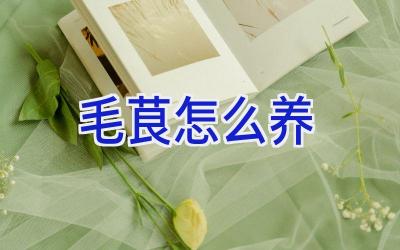 毛茛怎么养插图