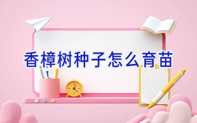 香樟树种子怎么育苗插图