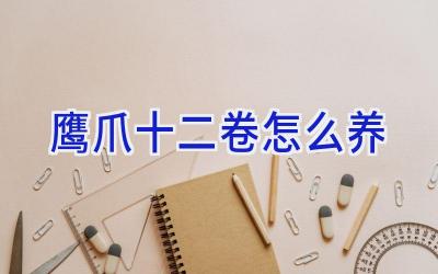 鹰爪十二卷怎么养插图